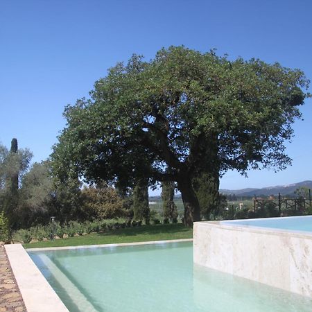 Agriturismo Il Broletto Suvereto Eksteriør bilde