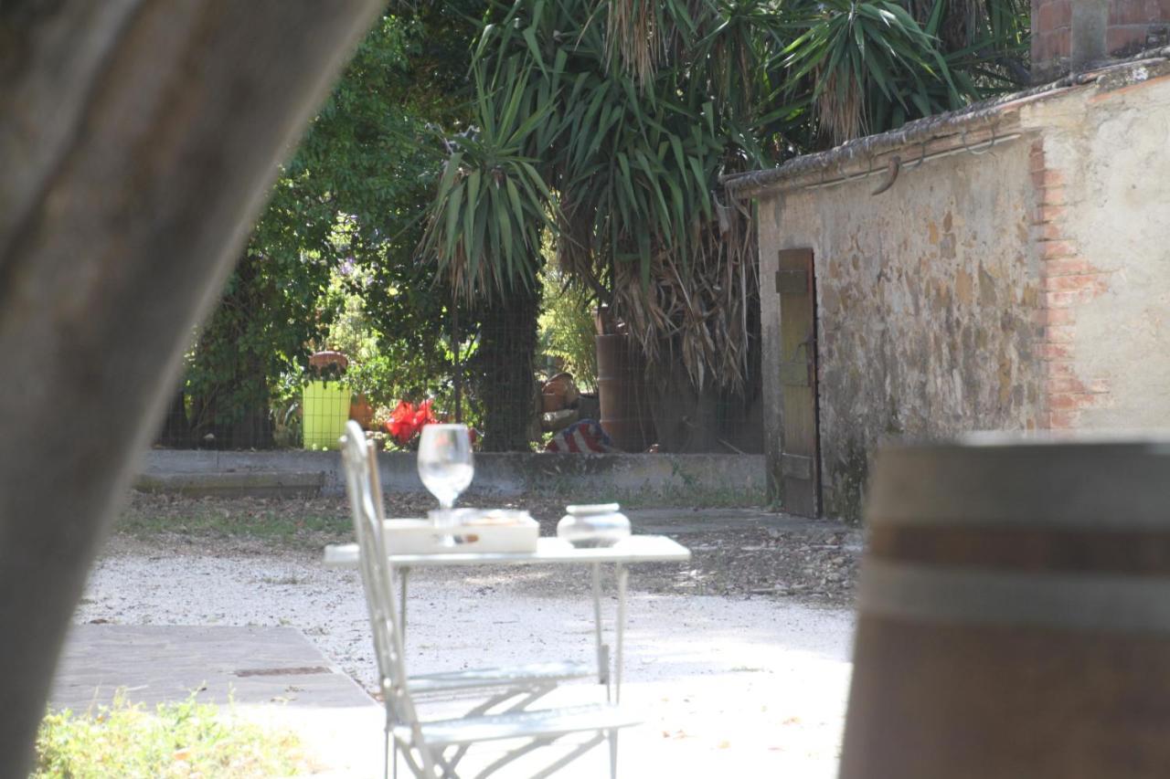 Agriturismo Il Broletto Suvereto Eksteriør bilde