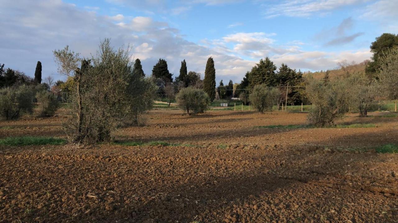 Agriturismo Il Broletto Suvereto Eksteriør bilde